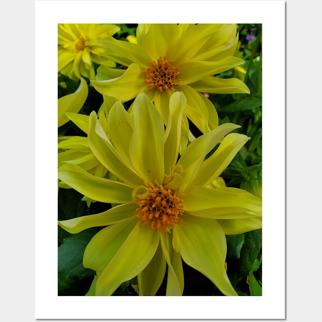 Yellow Bunch Photography My Wall Art by ShubShank